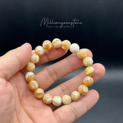 Natural 10mm Yellow Tridacna Shell Beaded Bracelet