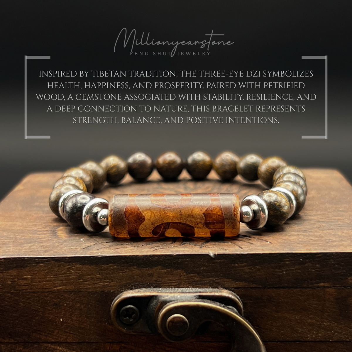 Tibetan Feng Shui bracelet - Petrified Wood with Three Eye Dzi charm - 8mm