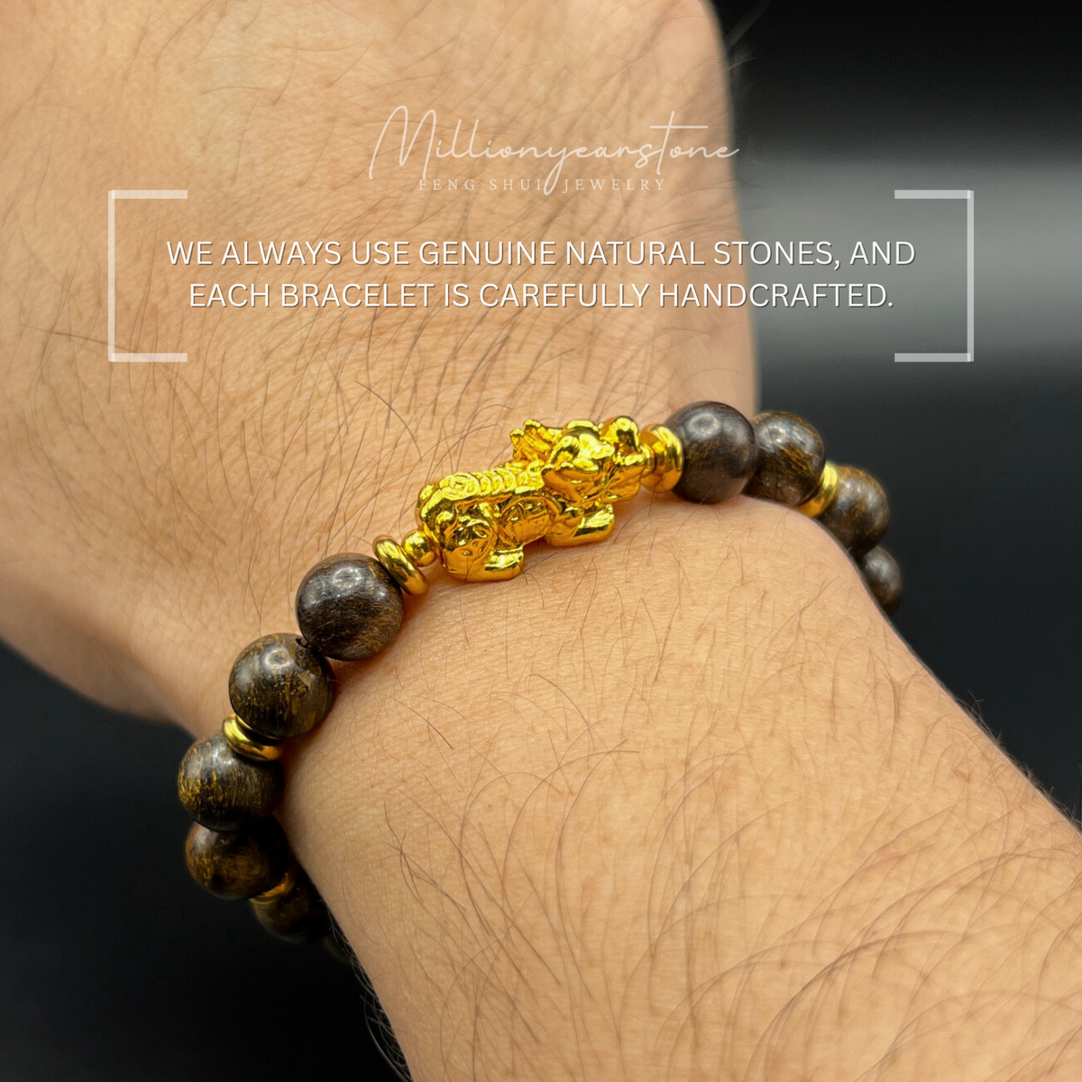 Pixiu bracelet - Petrified Wood & 24k Gold Filled Pixiu Charm | 8mm