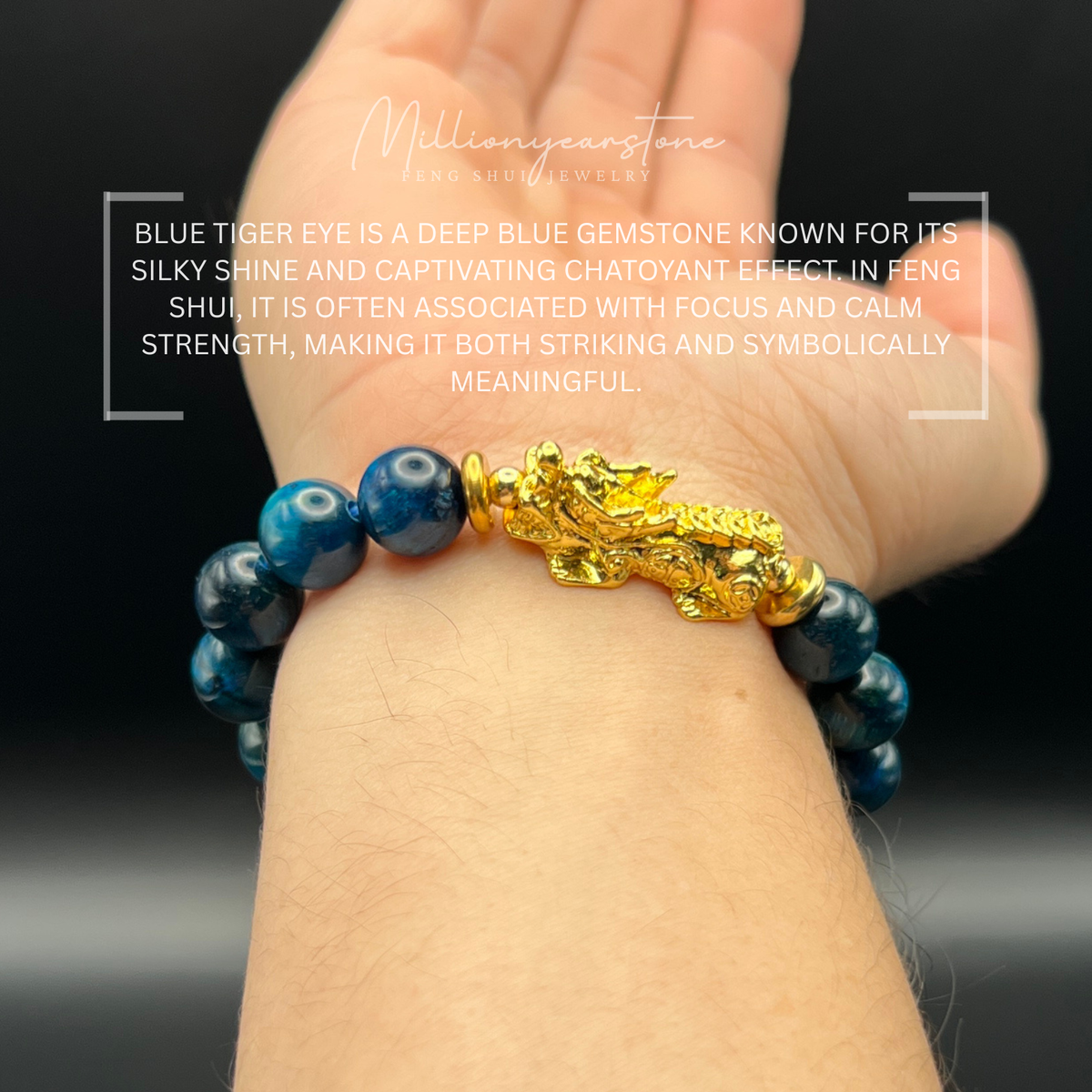 Pixiu bracelet - Blue Tiger's Eye & 24k gold filled Pixiu charm | 10mm