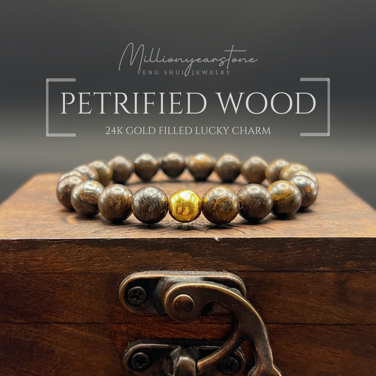 Petrified Wood & Luck gold bead charm | 8mm
