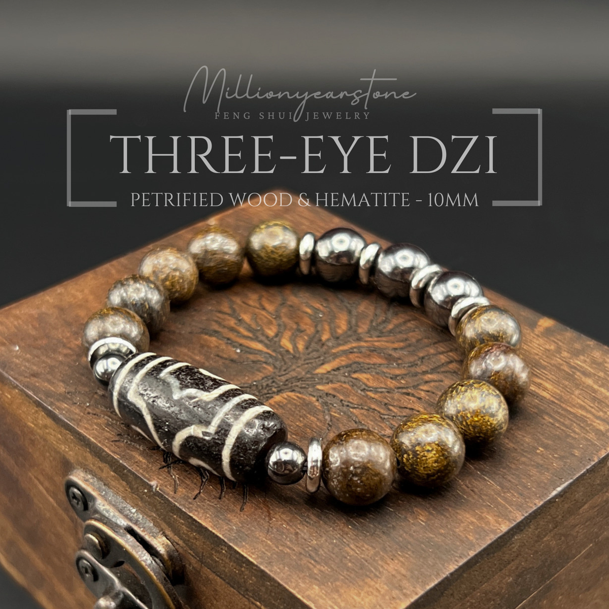Tibetan Feng Shui bracelet - Petrified Wood 10mm with Three Eye Dzi charm