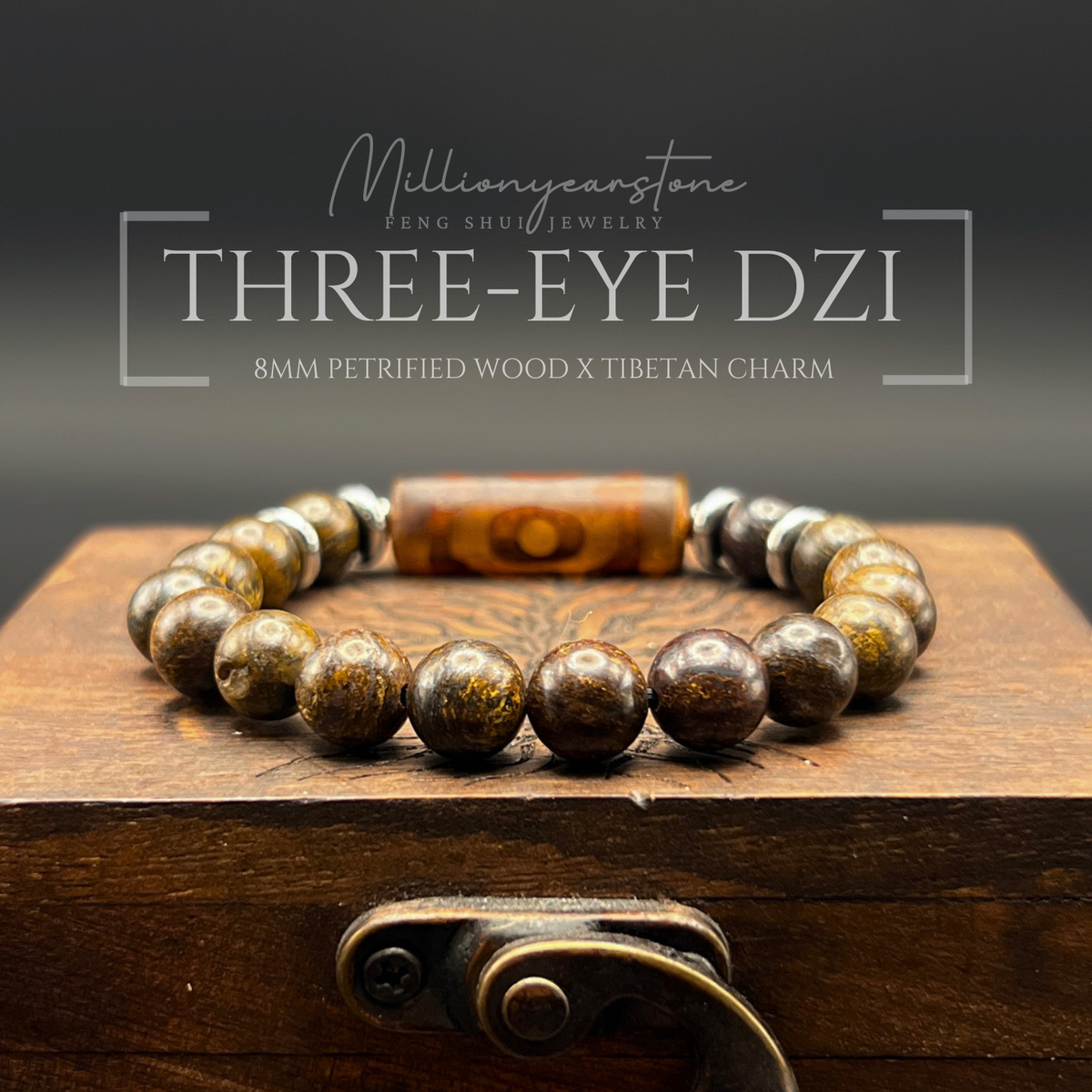 Tibetan Feng Shui bracelet - Petrified Wood with Three Eye Dzi charm - 8mm