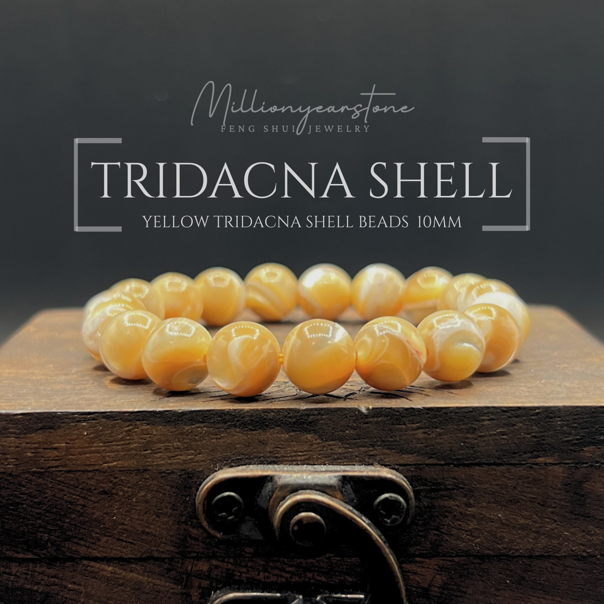 Natural 10mm Yellow Tridacna Shell Beaded Bracelet
